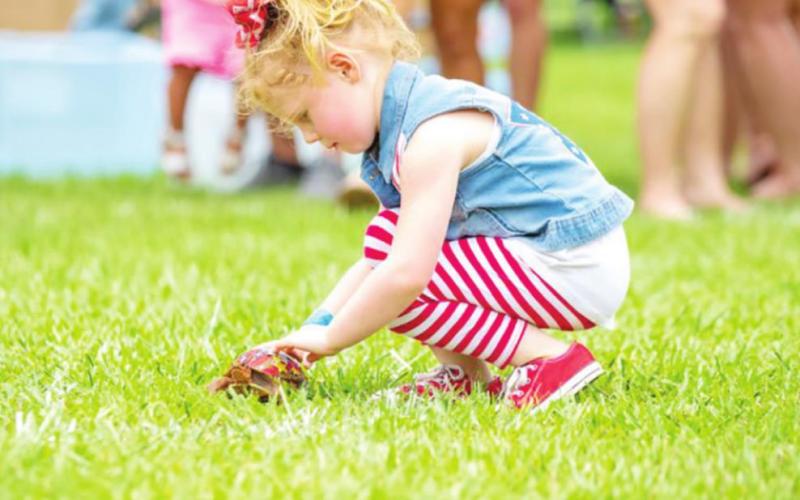 Happy Birthday USA provides fun for all ages. Pictured above is a participant in last year’s turtle races.