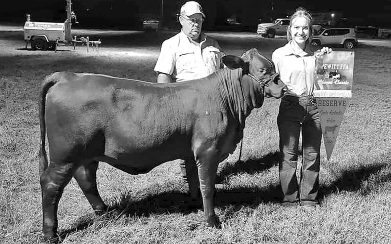A couple of heifers come through for local student