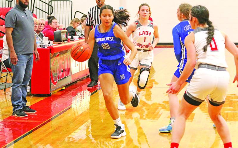 TRIBUNE PHOTOS / QUINTEN BOYD