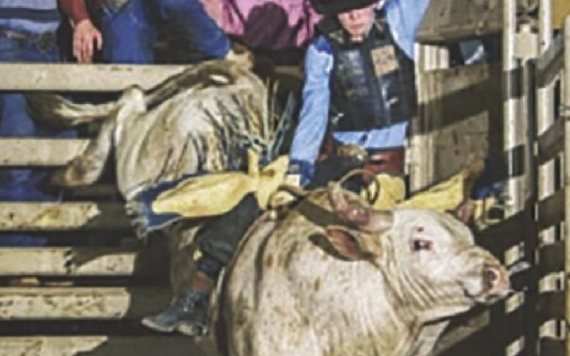 Rodeo team wraps up season, sends one to CNFR