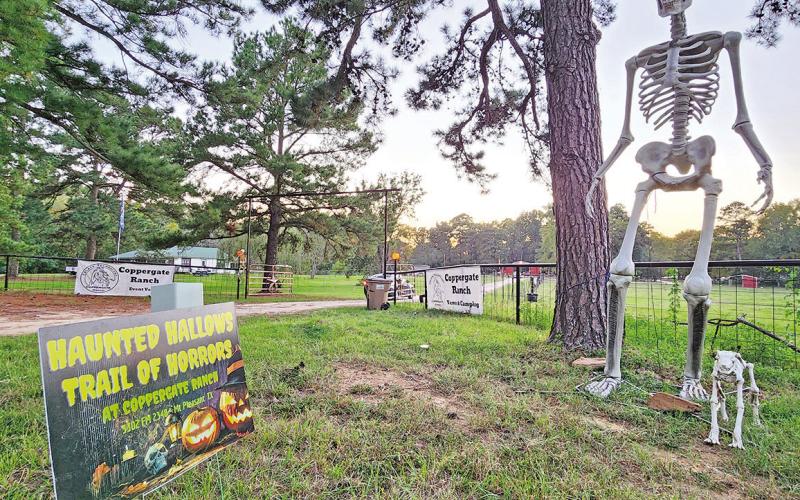 A big, bony friend greets Halloween lovers for Haunted Hallows TRIBUNE PHOTO / NICOLE KIMBALL
