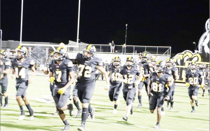 Mother Nature wins out over Tigers, Leopards