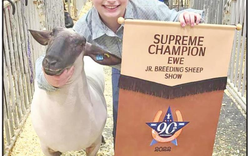 Chapel Hill FFA’s Ewe Crew sees success at Houston Livestock Show