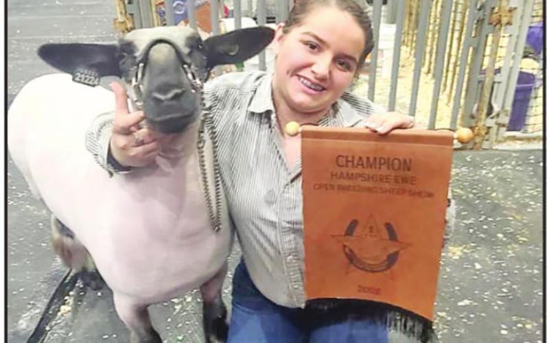 Chapel Hill FFA’s Ewe Crew sees success at Houston Livestock Show