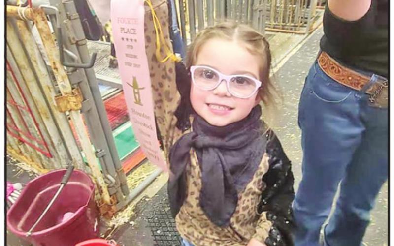 Chapel Hill FFA’s Ewe Crew sees success at Houston Livestock Show
