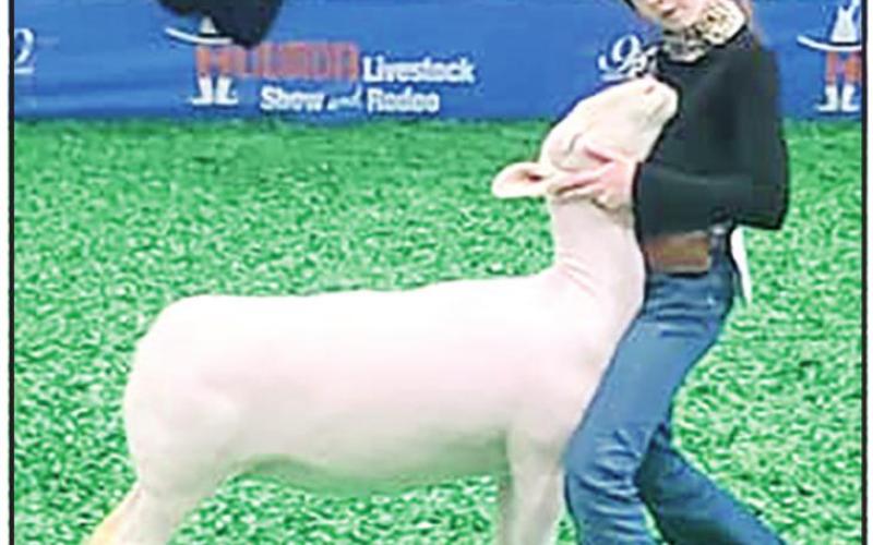 Chapel Hill FFA’s Ewe Crew sees success at Houston Livestock Show