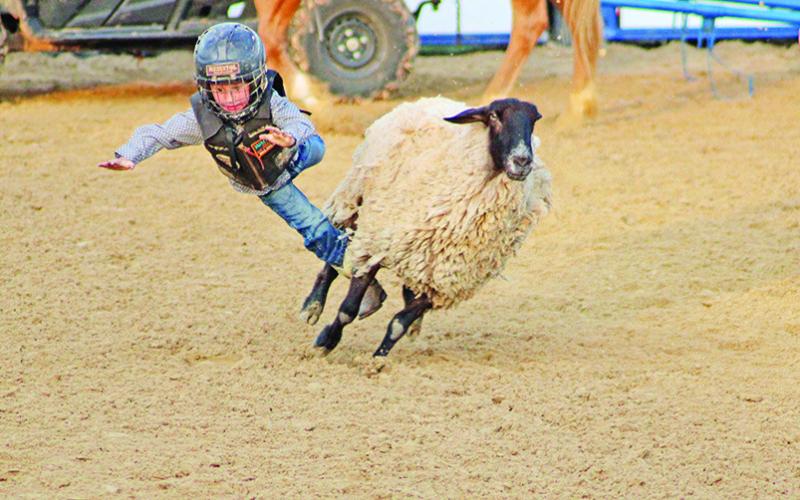 Ready to ride: MP Rodeo kicks off Thursday evening