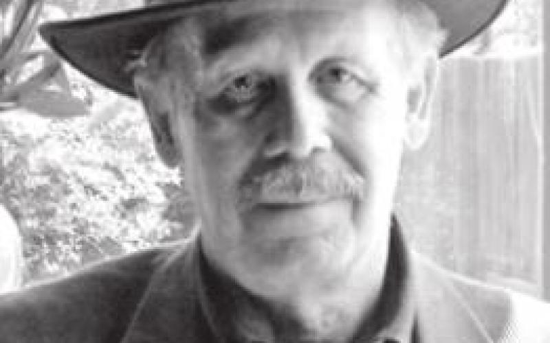 Truth or fiction: Tales of pioneer plots