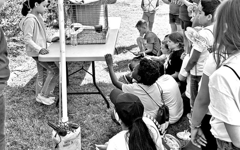 Titus County 4H represents at State Fair, a member reaching top 10