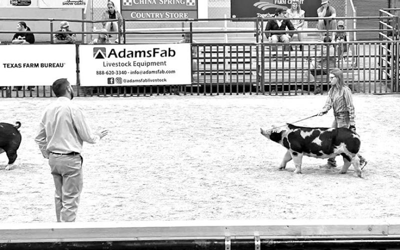 Titus County 4H represents at State Fair, a member reaching top 10