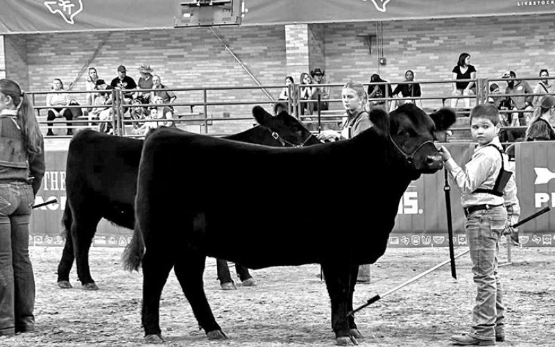 Titus County 4H represents at State Fair, a member reaching top 10