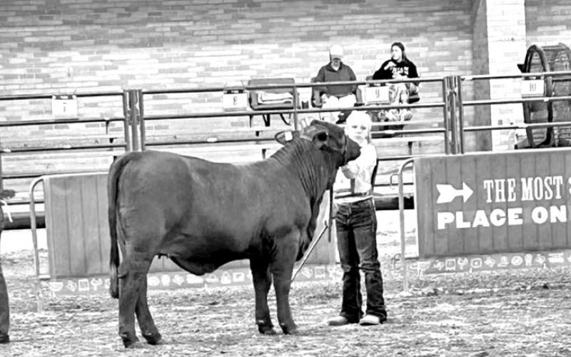 COURTESY PHOTOS / CASE RODGERS