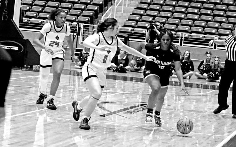 Lady Tigers fall in regional semifinals