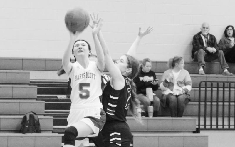 Bulldogs crown CHESS Knights