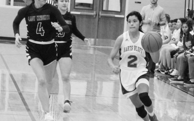 Bulldogs crown CHESS Knights