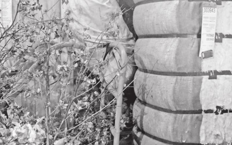A Little Bit of Pioneering History