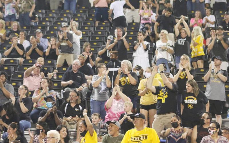 Go, Tigers, go!