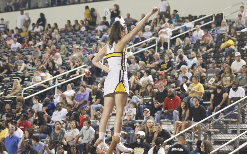 Go, Tigers, go!