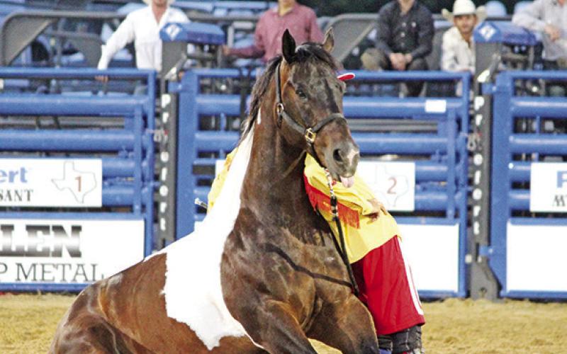 MP Pro Rodeo: night one