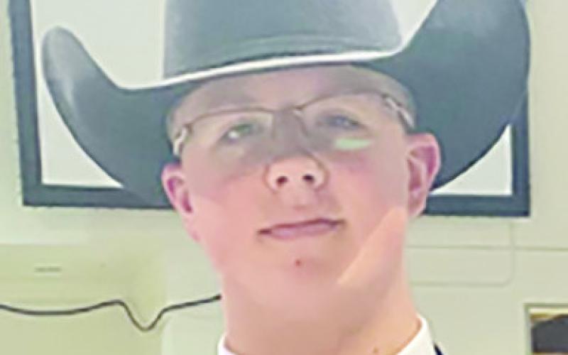 Tripp Phillips