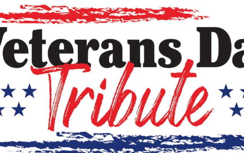Interesting facts about Veterans Day