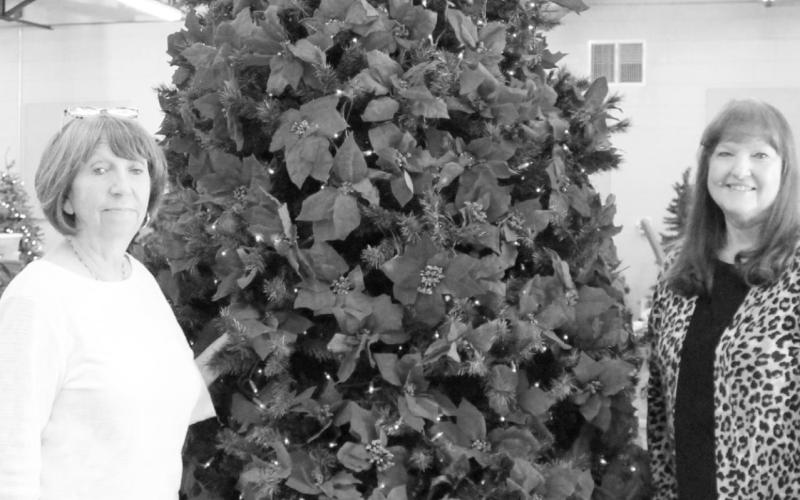 Oh Christmas tree