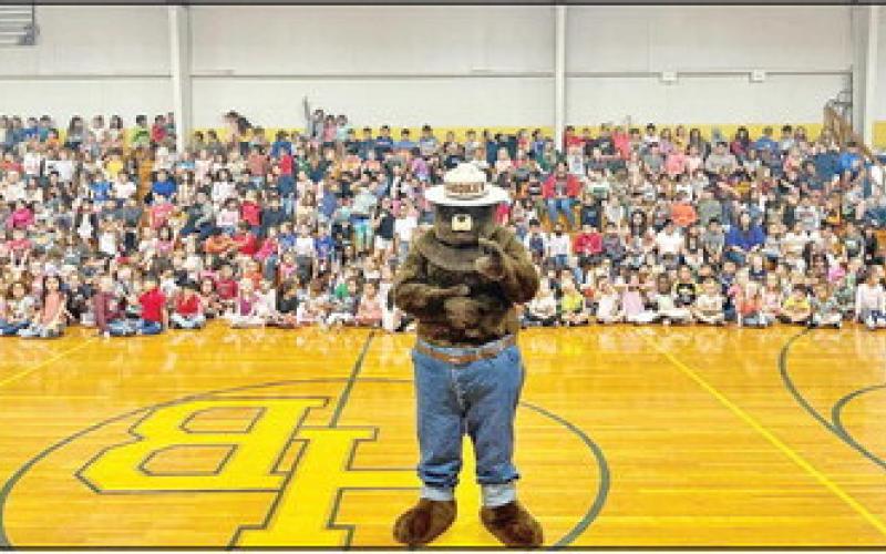 Only You can prevent forest fires