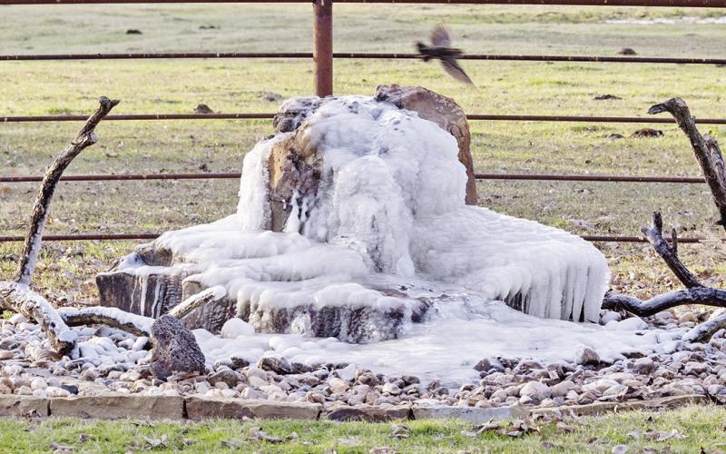 A frozen fountain shows the impact of last week’s freezing temps across Northeast Texas. COURTESY PHOTO