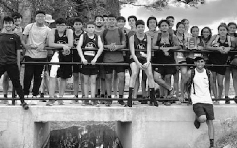 Tiger cross country takes first at Pine Tree