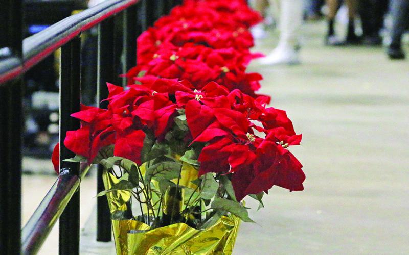 Red poinsettias lined the floor at Willie Williams Gymnasium in honor of Pam Chism, mother of Tiger Head Coach Joey Chism and grandmother of current Tigers Payton and Carter Chism. Mrs. Chism recently passed away and the team dedicated Tuesday’s game, as well as the remainder of the season, to her memory. TRIBUNE PHOTOS / QUINTEN BOYD