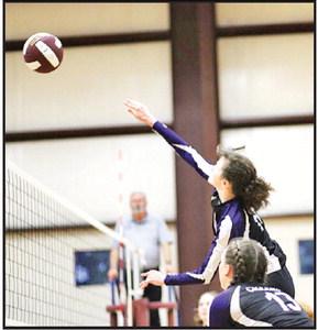 CHAAMP Hawks Varsity Volley