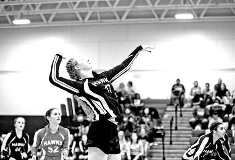 CHAAMP Hawks Varsity Volleyball Stumbles