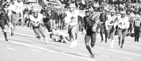 TRIBUNE PHOTOS / QUINTEN BOYD
