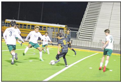 TRIBUNE PHOTO / QUINTEN BOYD
