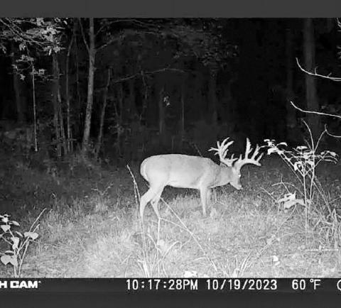 Brewer’s dad, Rickey, captured numerous game camera images of the buck leading up