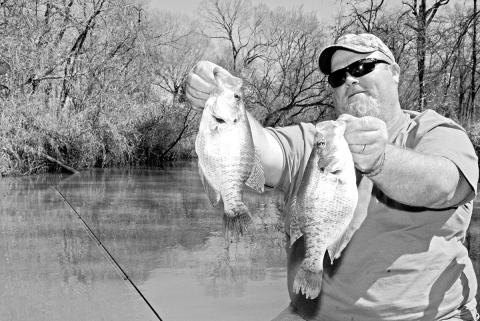 With water temperatures on a gradual downslide, fishing guide Jason Barber says crappie other sport fish are prone to become increasingly aggressive. COURTESY PHOTO / MATT WILLIAMS