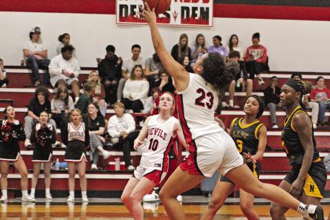 TRIBUNE PHOTO / QUINTEN BOYD