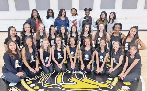 Tiger Dolls new members