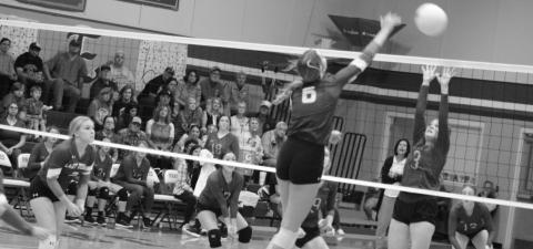 TRIBUNE PHOTO / QUINTEN BOYD