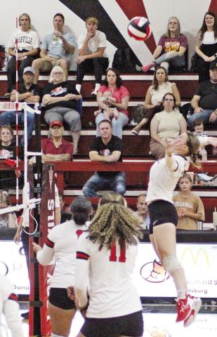 TRIBUNE PHOTO / QUINTEN BOYD