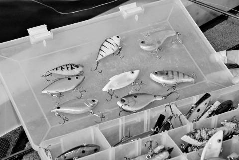 Lipless crank baits and other styles of hard body lures come in assorted colors. It’s always best to match the hatch by throwing colors that simulate the primary forage on which the bass are feeding. Crawfish patterns like red, orange and brown heavy favorites in winter.