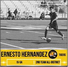 6 Tigers named to 15-5AAll-District soccer team
