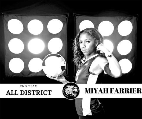 Lady Tigers chosen for District 105A Volleyball awards