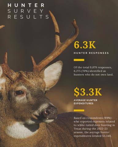 Texas Whitetails = Big Bucks