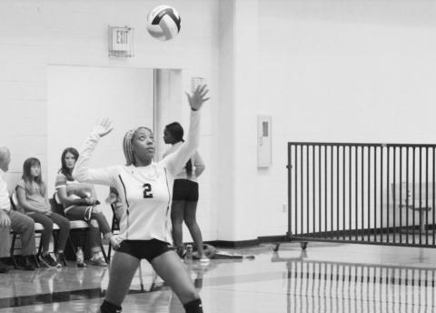 Lady Tigers volleyball begins