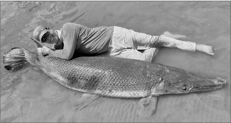 Art Weston of Union, Kentucky with the 283 pound alligator gar he caught and released on September 2 at Sam Rayburn Reservoir. For comparison, Weston stands 6 feet, 2 inches tall and weighs 180 pounds. Pending certification by the International Game Fish Association, the magnificent fish should eclipse the IGFA All-Tackle world record of 279 pounds that has stood for nearly 72 years. COURTESY PHOTOS