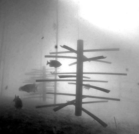 Arkansas-based MossBack Fish Habitat has worked with numerous conservation organizations as well as TPWD in providing artificial fish structures for use in habitat restoration projects on public lakes throughout Texas. (Photo Courtesy of MossBack)