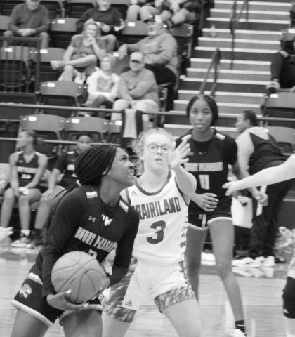 TRIBUNE PHOTOS / QUINTEN BOYD