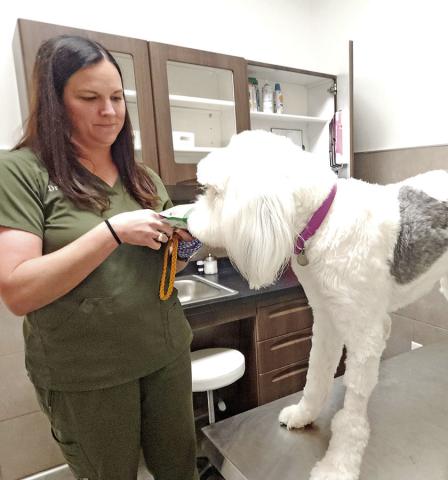 Mt. Pleasant Animal Clinic has served the community for 58 years and now has a new clinic Photo by Nicole Kimball