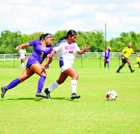 Lady Eagles fall in opening home matches